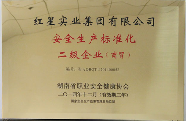 2014安全生產(chǎn)標(biāo)準(zhǔn)化二級企業(yè)